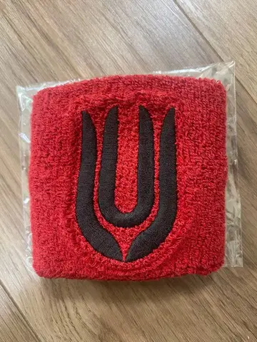 유니슨 스퀘어 가든 리스트 밴드