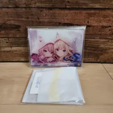 HIMEHINA 아크릴 아트 패스 케이스