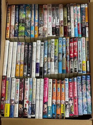 라이트 노벨 묶음 판매 60권 정도입니다.