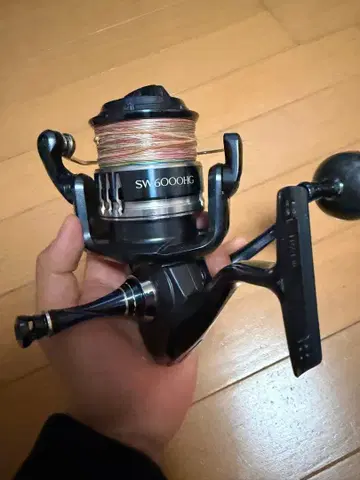 스트라딕 SW6000HG