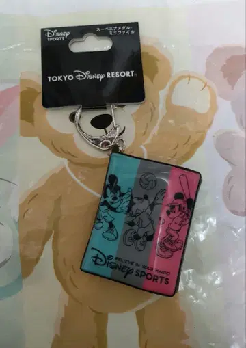 디즈니 수베니어 메달 케이스 스트랩 키링 미니 파일