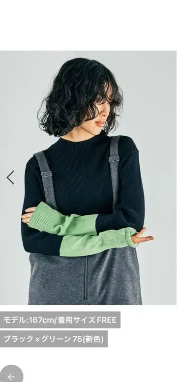 12 게이지 배색 하이넥 풀오버 렙심