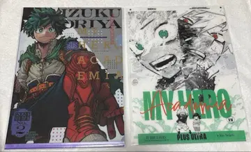 나의 히어로 아카데미아 히로아카 클리어 파일