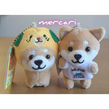 여행하는 마메시바 미컈응 & 후지산 T셔츠