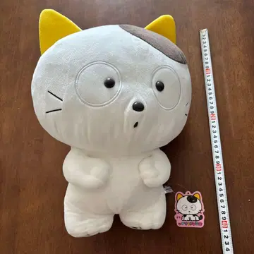 우리 타마 아니?' Big 봉제 인형