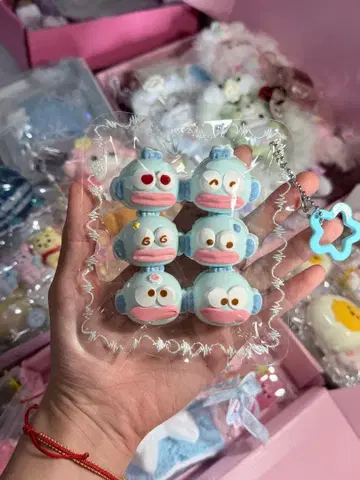 6개 한교동 스퀴즈