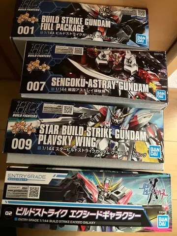 빌드 파이터즈 hg 세트