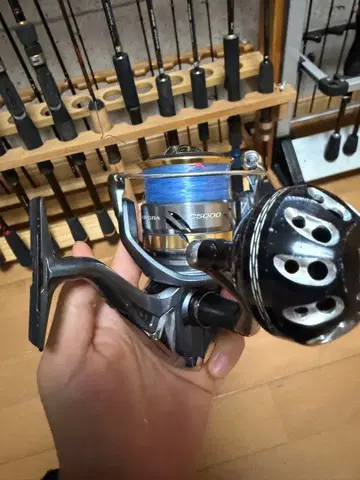 알테그라 C5000XG