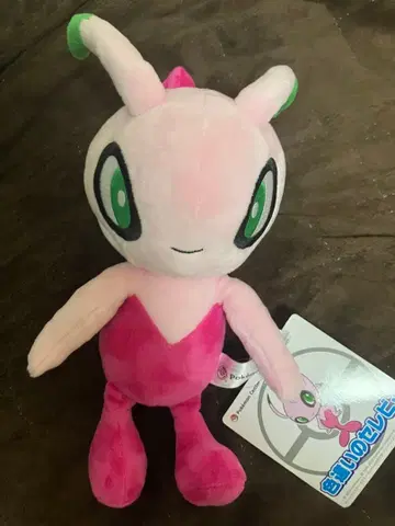 포켓몬 센터 색이 다른 셀비 봉제 인형