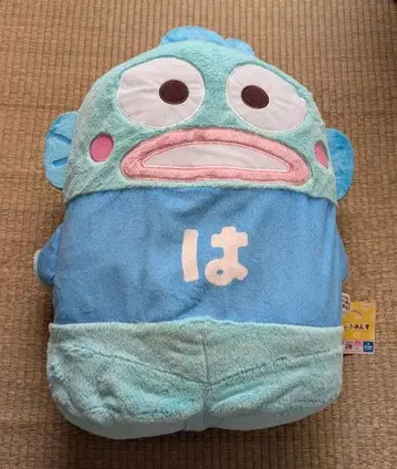 하피단부이 나란히 도우미 프렌즈 빅! 한교동