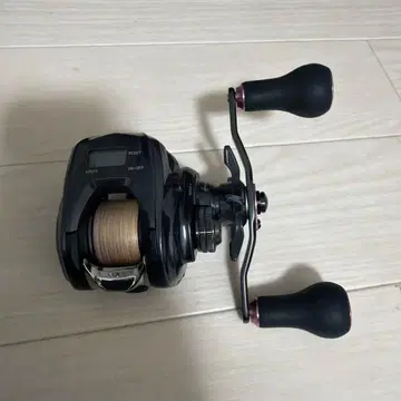 DAIWA 21 홍아 IC150