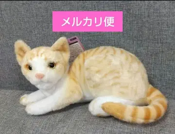 리얼 애니멀 고양이