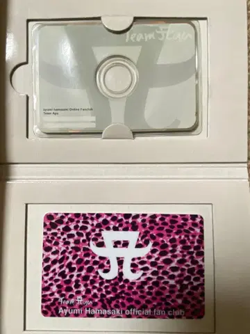 하마사키 아유미 team ayu 팬클럽 회원증 CDROM 회원증