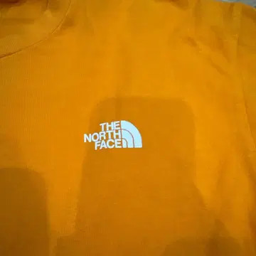THE NORTH FACE 티셔츠 L