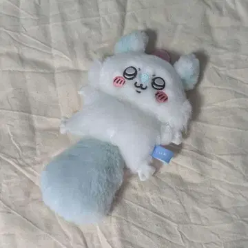 날아오르는 모몽가