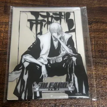 BLEACH 블리치 메탈릭 마그넷 컬렉션 이치마루 긴