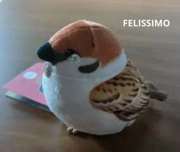 조금밖에 못 들어가서 미안해 참새의 눈물 파우치 펠리시모