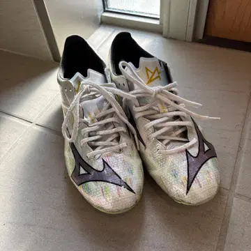 미즈노 알파 2 재팬