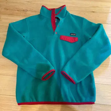 patagonia Synchilla 플리스 S