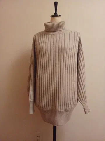 이에나 리브 터틀넥 니트