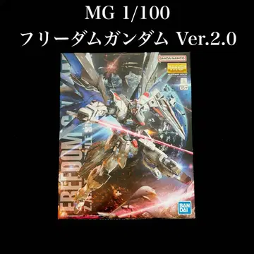 새상품 MG 마스터 그레이드 프리덤 건담 Ver.2.0