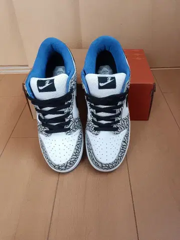 ERROR DUNK LOW PRO SB 27cm