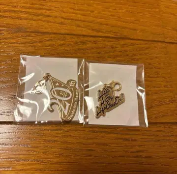 몰리콘 시크릿 참 공연 로고 2종 세트