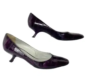 세르지오로시 다크 퍼플 악어 가죽 펌프스 37