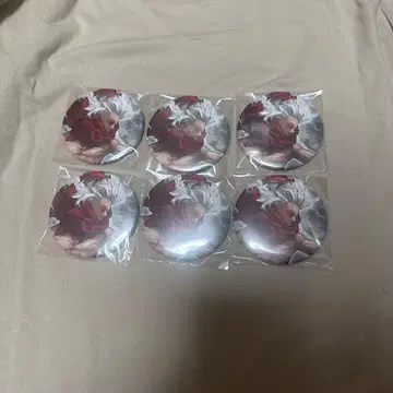 히로아카 콜렉션 캔 시가라키