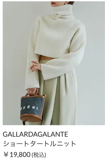 GALLARDAGALANTE 숏 터틀 니트