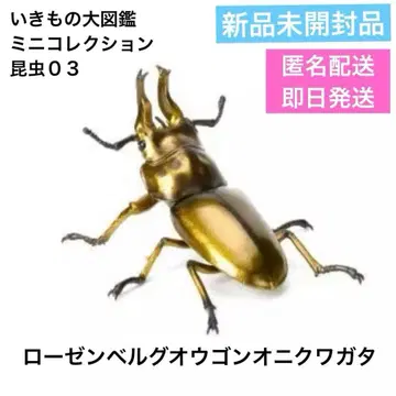 생물대도감 곤충03 미니 컬렉션 로젠베르그 황금귀사슴벌레