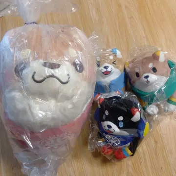 충견 모치시바 봉제 인형 묶음 판매 초 BIG JB 모치시바 시바견