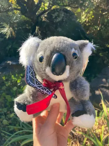 코알라 봉제 인형 I AUS