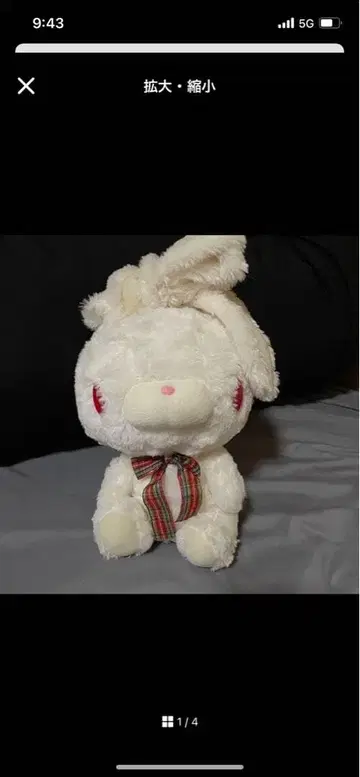 범용 토끼 그루미 테디 화이트