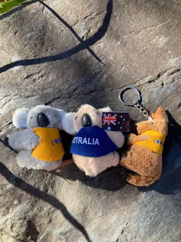호주 코알라 캥거루 키링