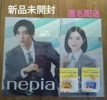 네피아 메구로 렌 클리어 파일 LOOK 아크릴 참 SnowMan 후지야