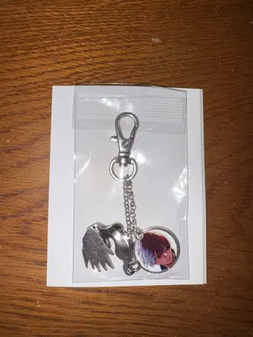 토도로키 쇼토 히로아카전 합금 참