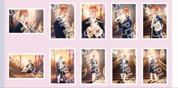 초특급 타카시 생탄 브로마이드