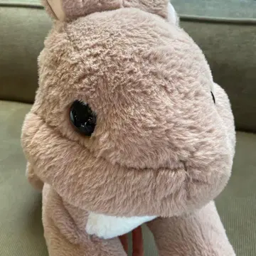 플레미쉬 자이언트 토끼