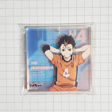 하이큐 쇼와노트 오로라 브로키 니시노야 유우