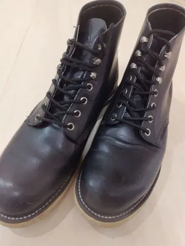 레드윙 아이리쉬 세터 8165 차심 사각견택