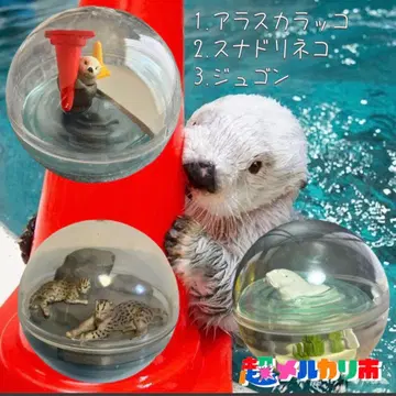 도바 수족관 카프리움 컬렉션 랏코, 수달고양이, 듀공 묶음 판매