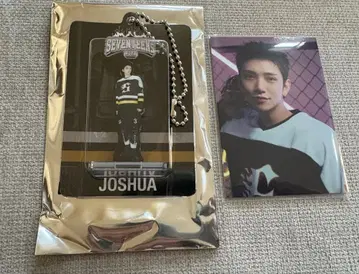 25 SEVENTEEN's HOME 아크릴 키링 트레이딩 카드 조슈아