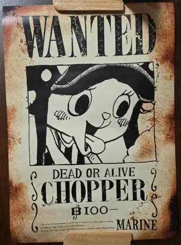 원피스 수배서 포스터 점프 50주년 전시회 VOL.3 초파