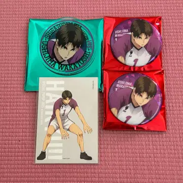 베이스야드 도쿄 하이큐 트레이딩 캔뱃지 우시지마 덤 포함