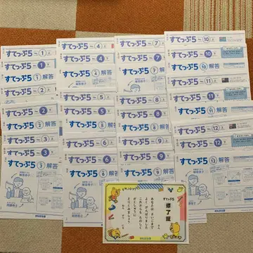 스텝 5 전 12권 풀세트