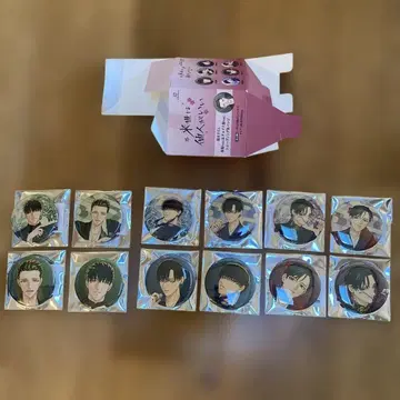 내세에는 남남이 좋겠어 캔뱃지 12개 컴플리트