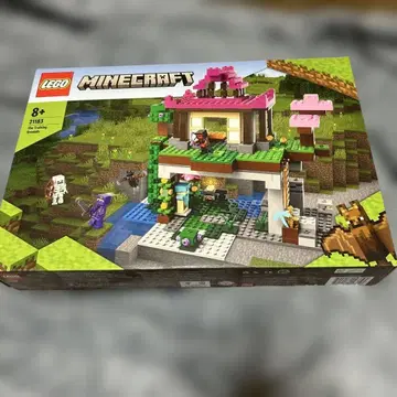 완구 레고 블록 LEGO Minecraft 21183