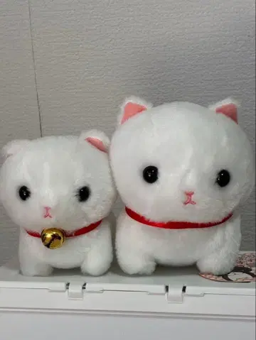 앙증맞은 먼치킨 봉제 인형 고양이