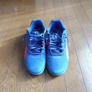 PUMA 풋살화 파랑/빨간색